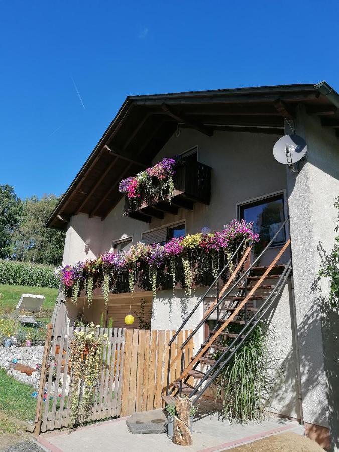 Ferienwohnung Egelkraut Schwarzenbach an der Saale 外观 照片